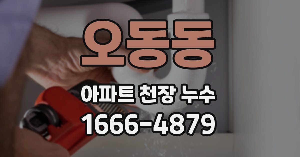 오동동 아파트 천장 누수