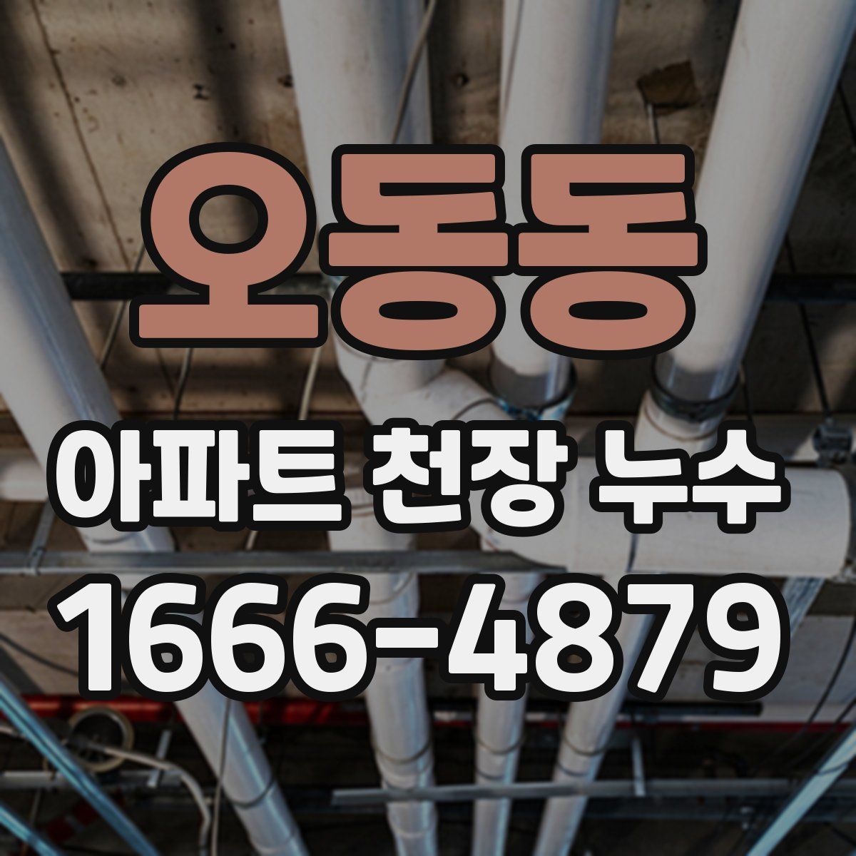 오동동 아파트 천장 누수
