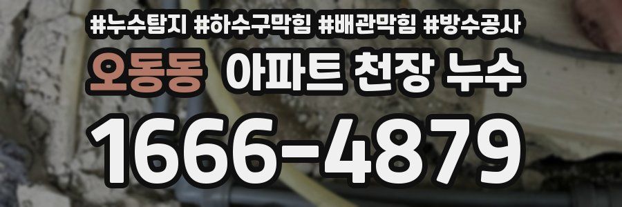오동동 아파트 천장 누수
