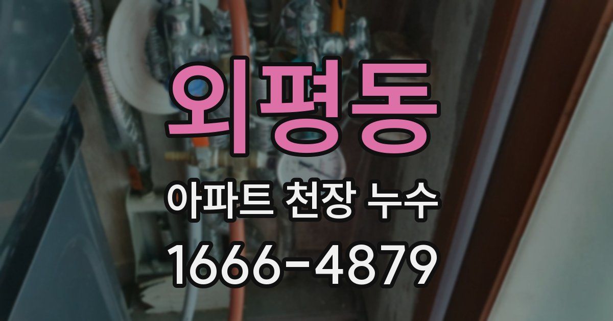 외평동 아파트 천장 누수