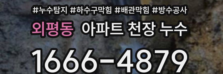 외평동 아파트 천장 누수