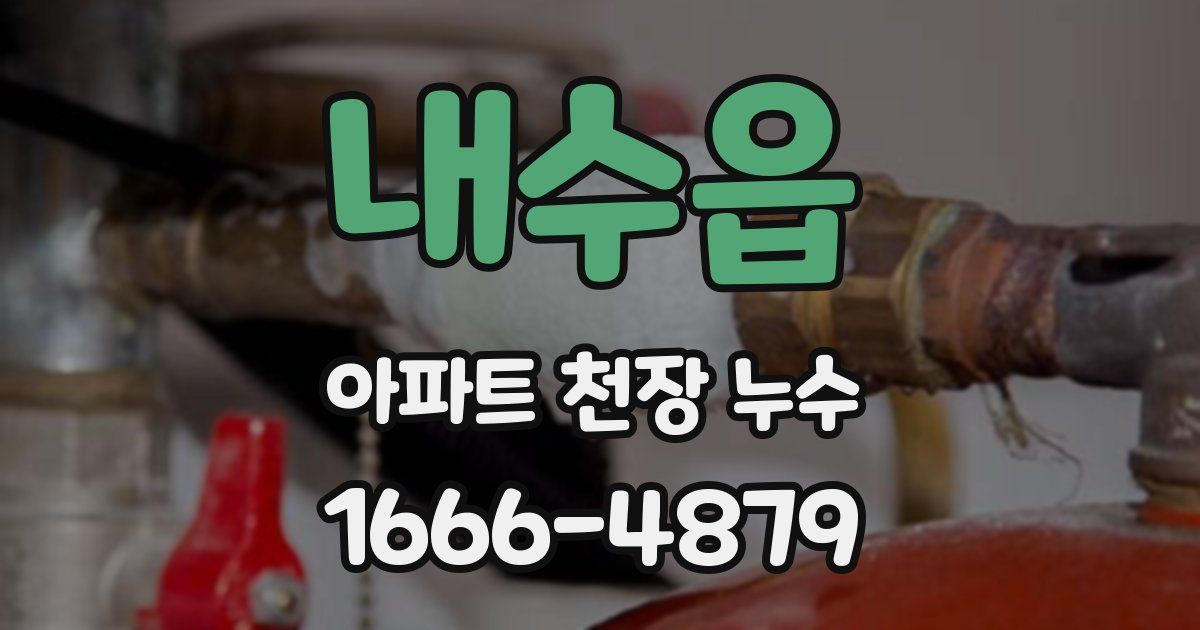 내수읍 아파트 천장 누수