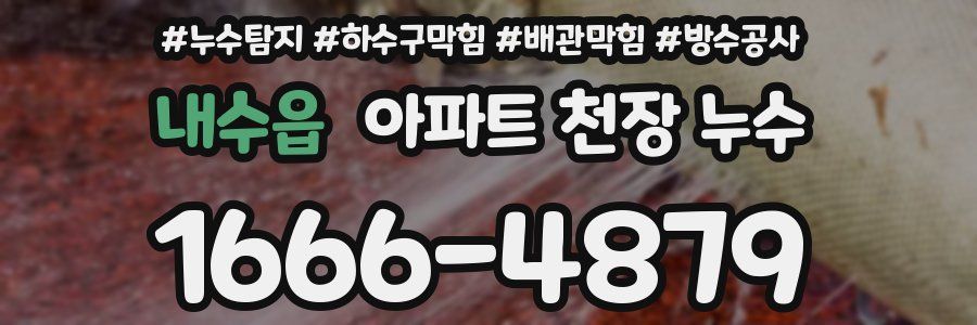 내수읍 아파트 천장 누수
