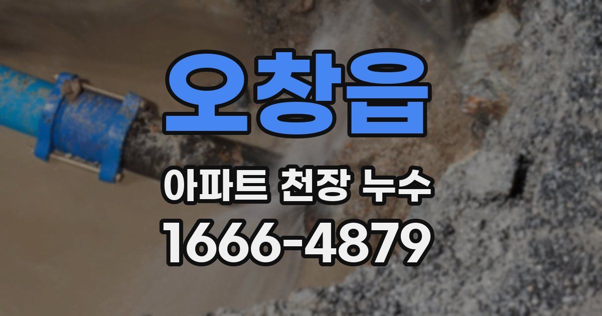 오창읍 아파트 천장 누수