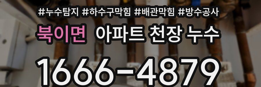 북이면 아파트 천장 누수