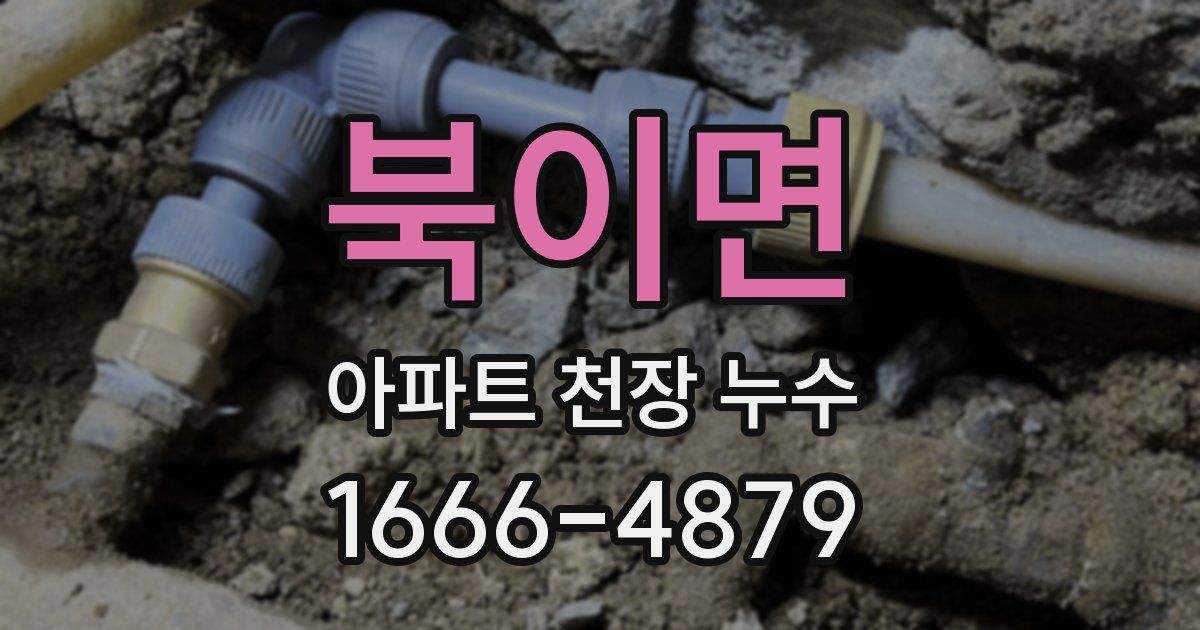 북이면 아파트 천장 누수