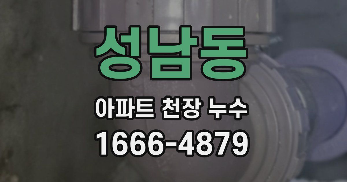 성남동 아파트 천장 누수