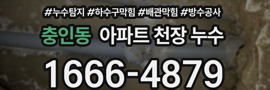 충인동 아파트 천장 누수