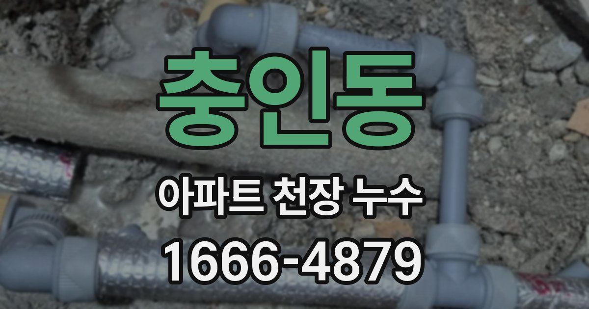 충인동 아파트 천장 누수