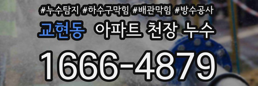 교현동 아파트 천장 누수