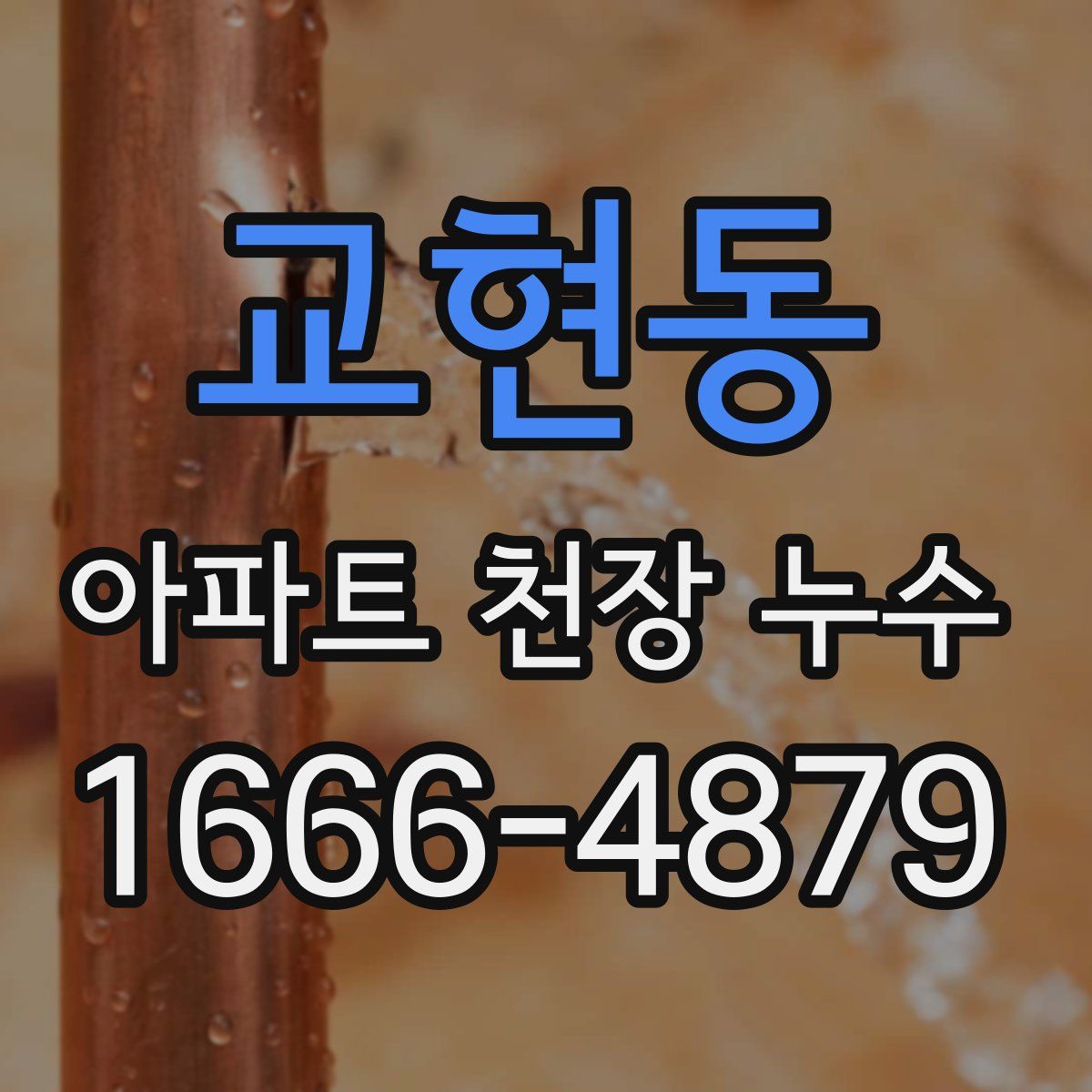 교현동 아파트 천장 누수