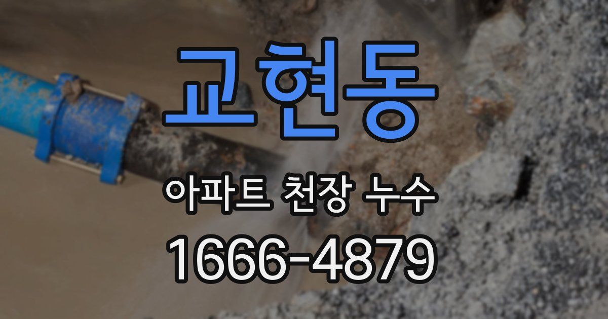 교현동 아파트 천장 누수