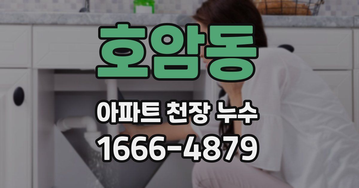 호암동 아파트 천장 누수