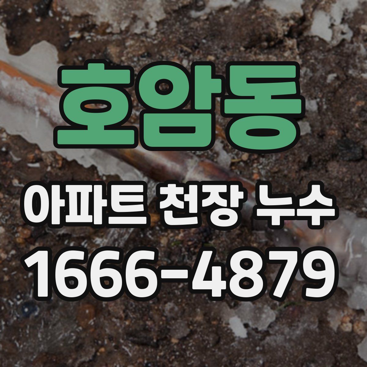 호암동 아파트 천장 누수