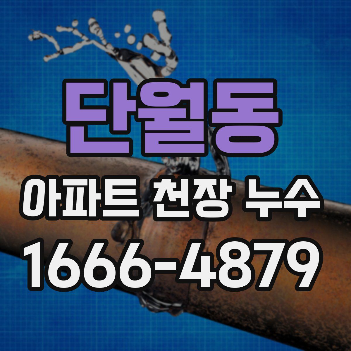단월동 아파트 천장 누수