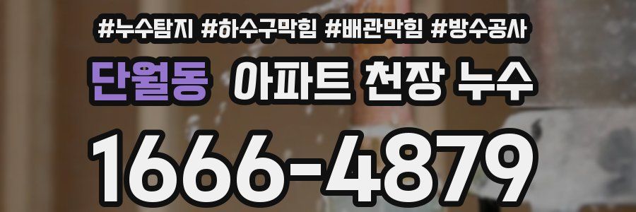 단월동 아파트 천장 누수