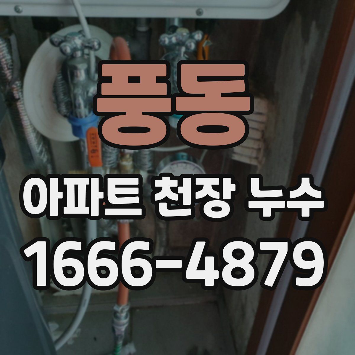 풍동 아파트 천장 누수