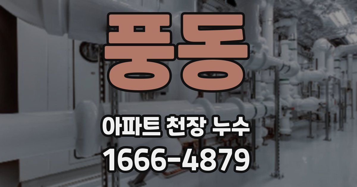 풍동 아파트 천장 누수
