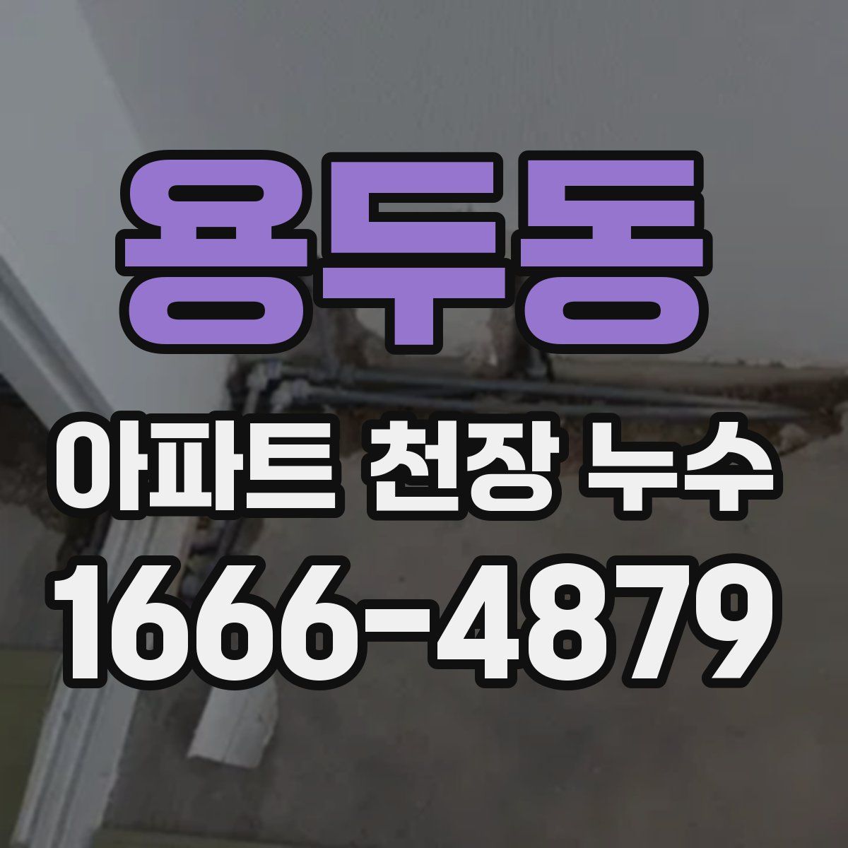 용두동 아파트 천장 누수