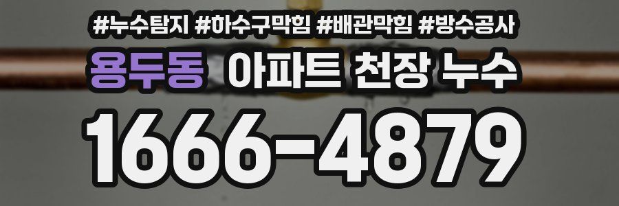 용두동 아파트 천장 누수