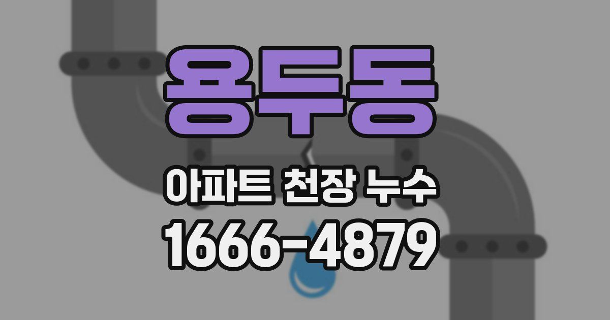 용두동 아파트 천장 누수