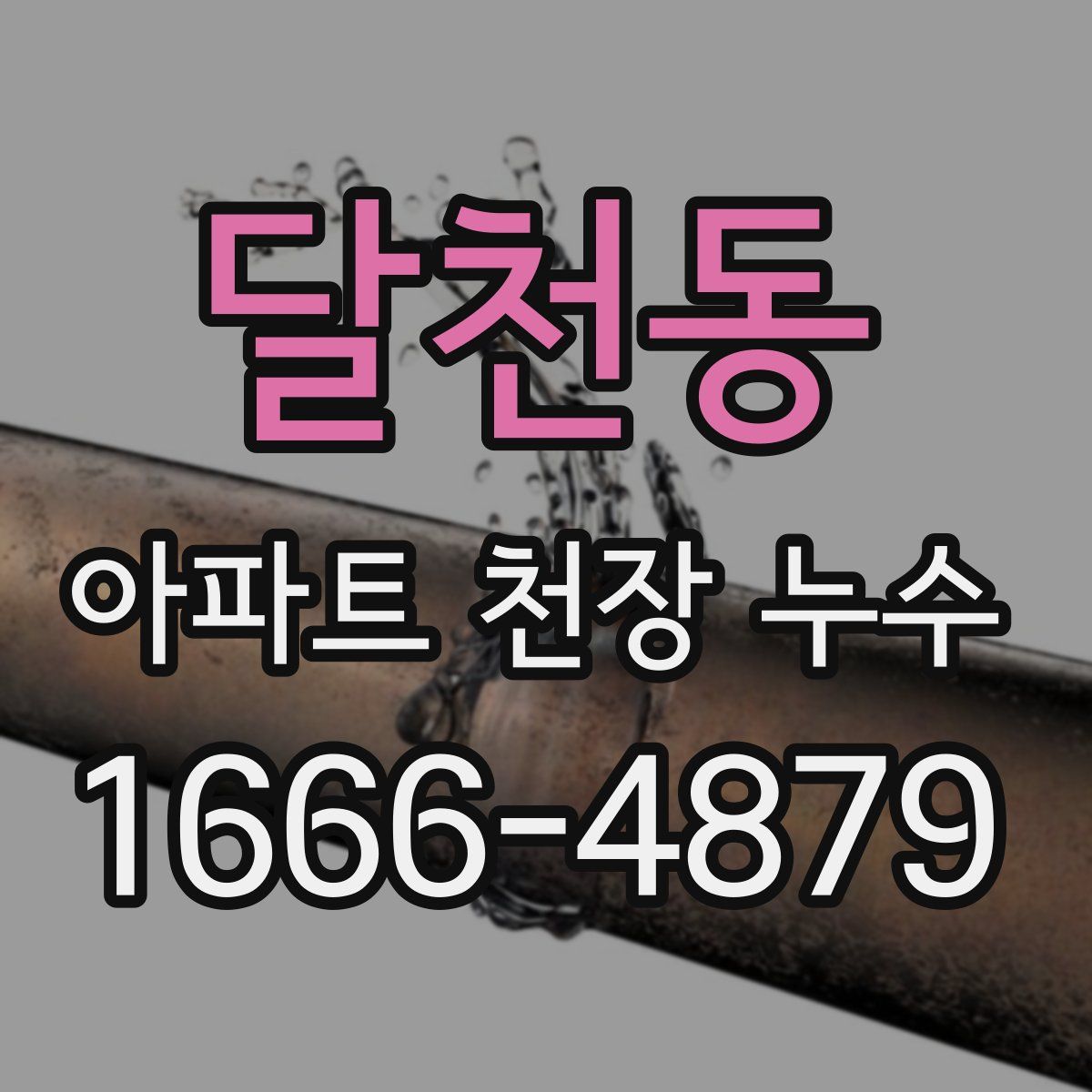 달천동 아파트 천장 누수