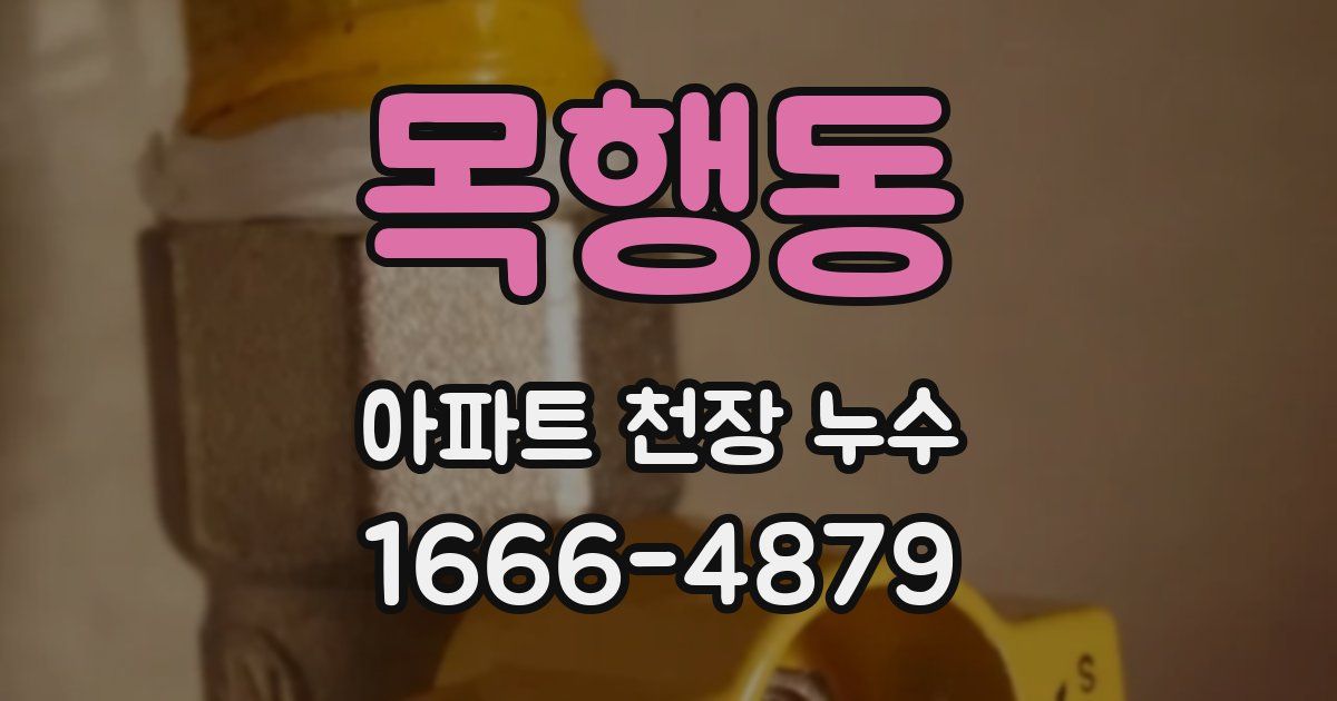 목행동 아파트 천장 누수