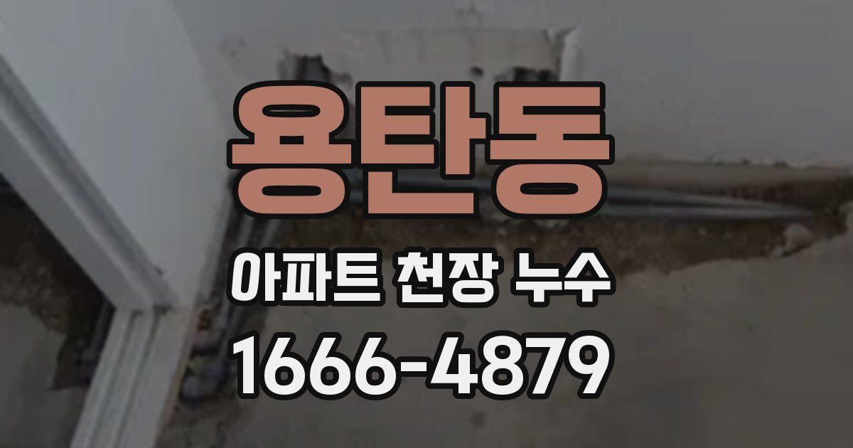 용탄동 아파트 천장 누수
