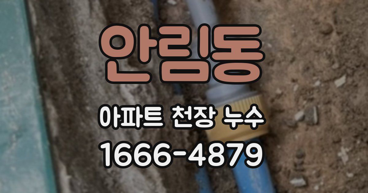 안림동 아파트 천장 누수