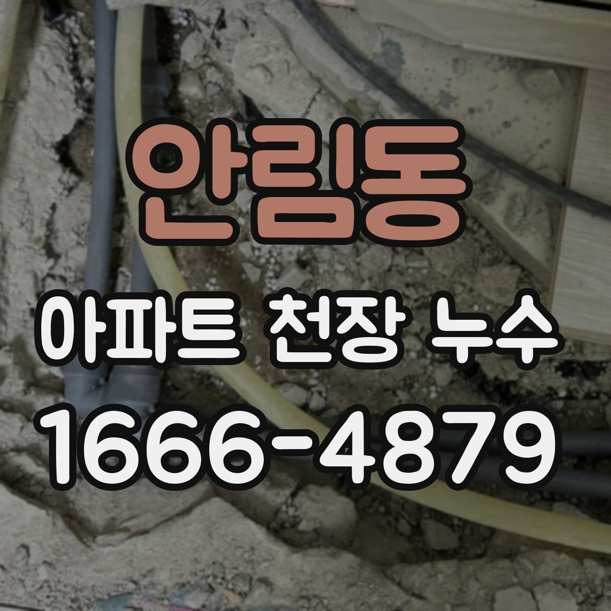 안림동 아파트 천장 누수