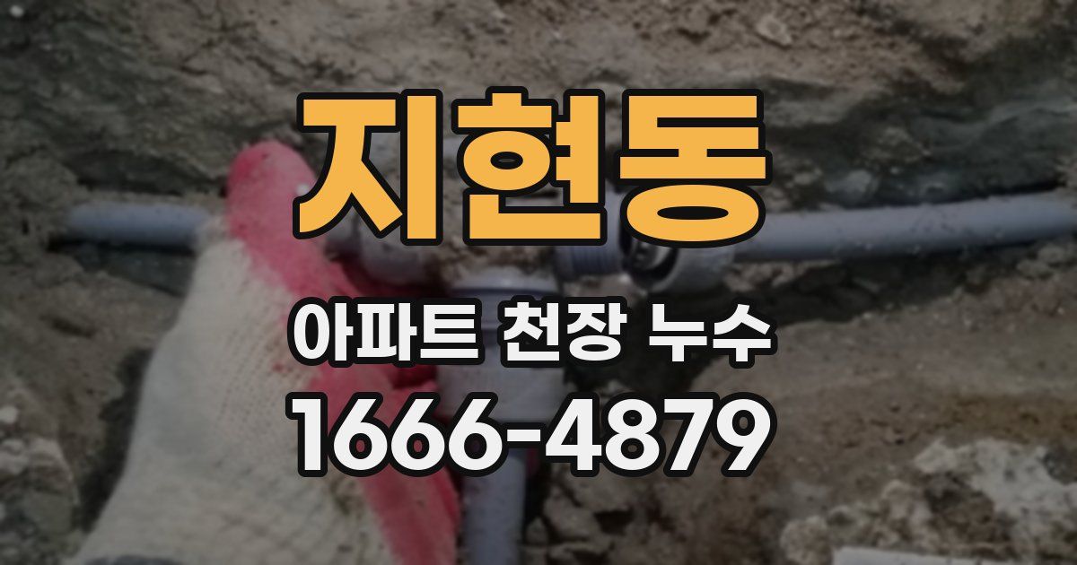 지현동 아파트 천장 누수