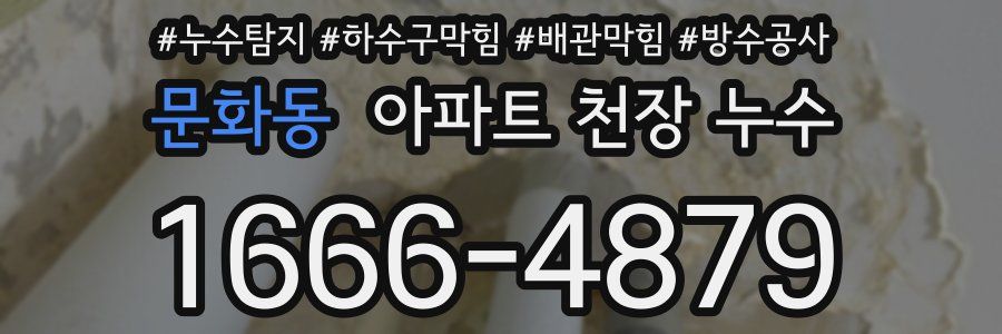 문화동 아파트 천장 누수