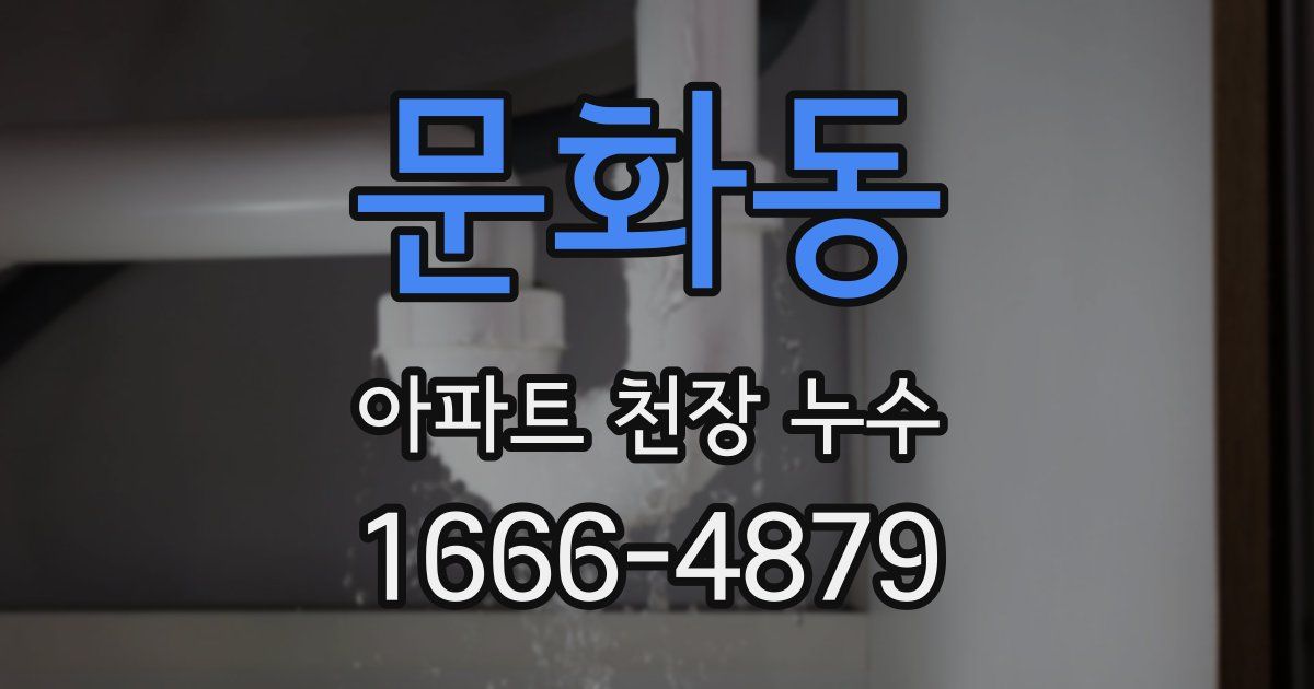 문화동 아파트 천장 누수