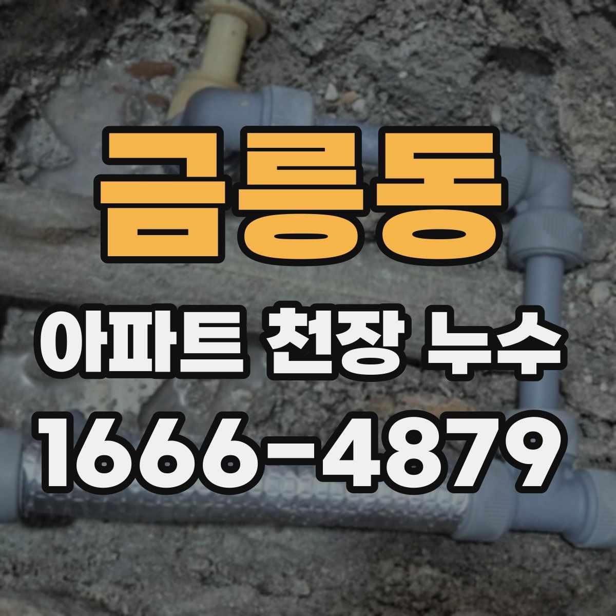 금릉동 아파트 천장 누수
