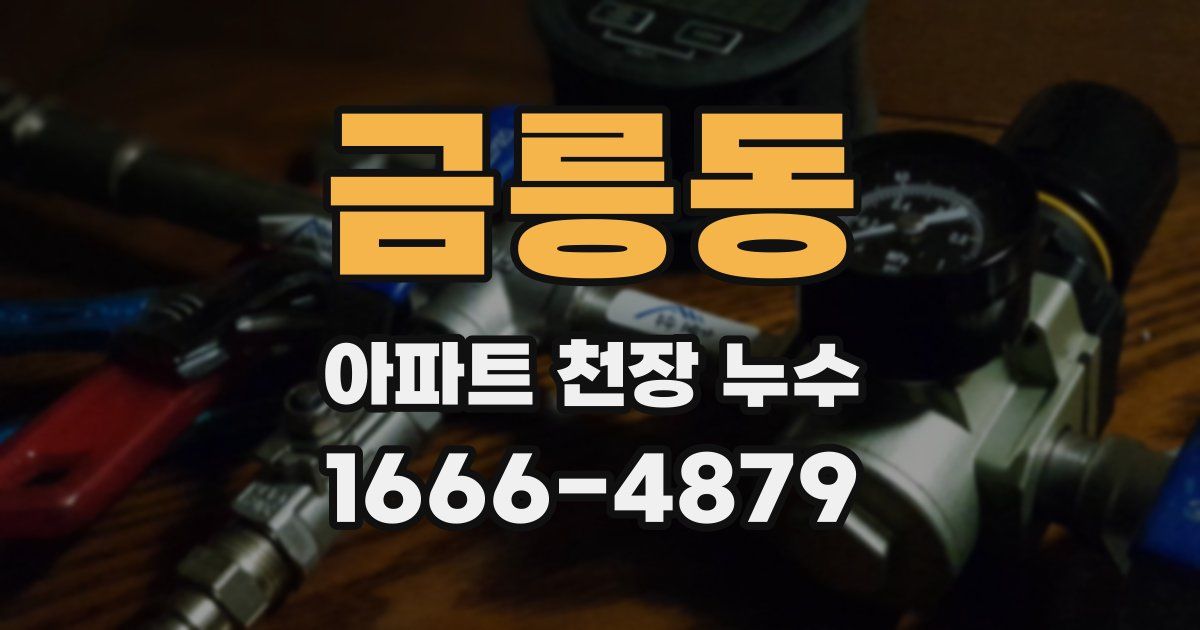 금릉동 아파트 천장 누수