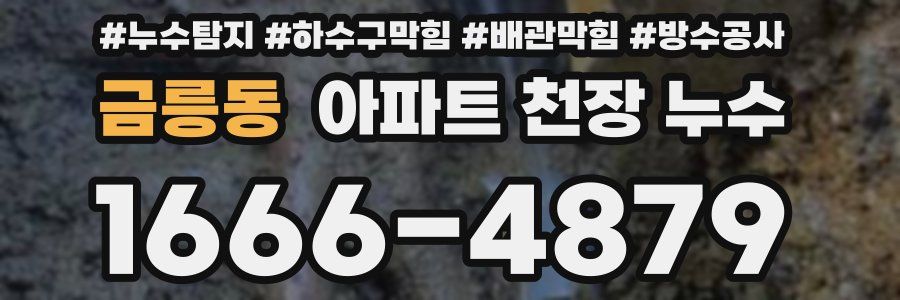 금릉동 아파트 천장 누수