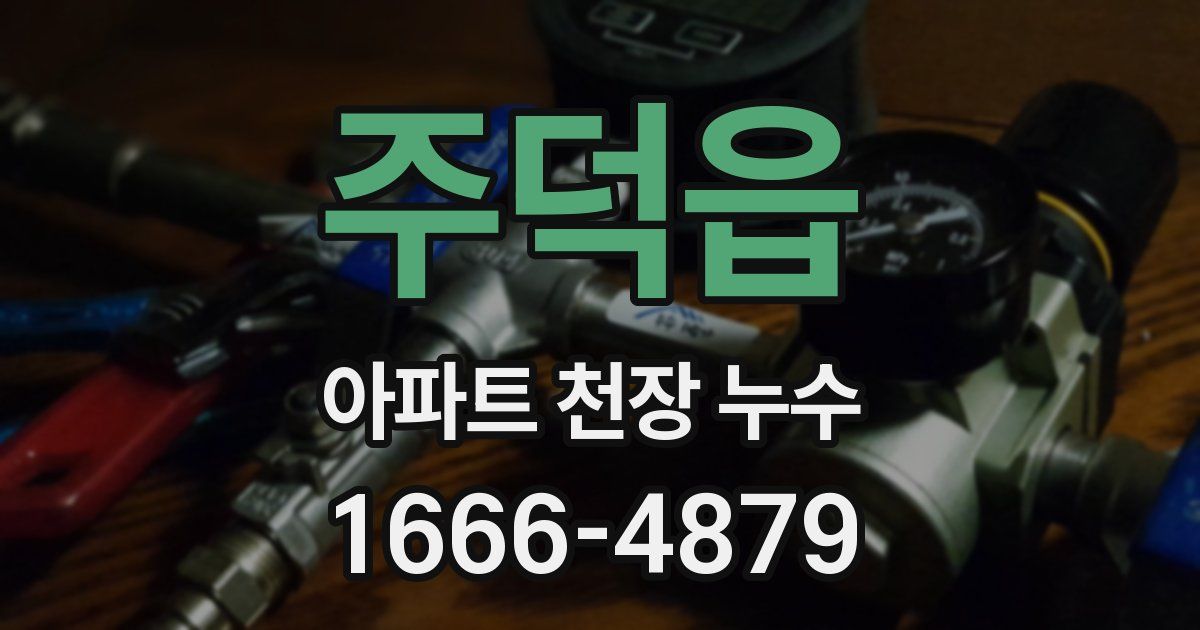 주덕읍 아파트 천장 누수