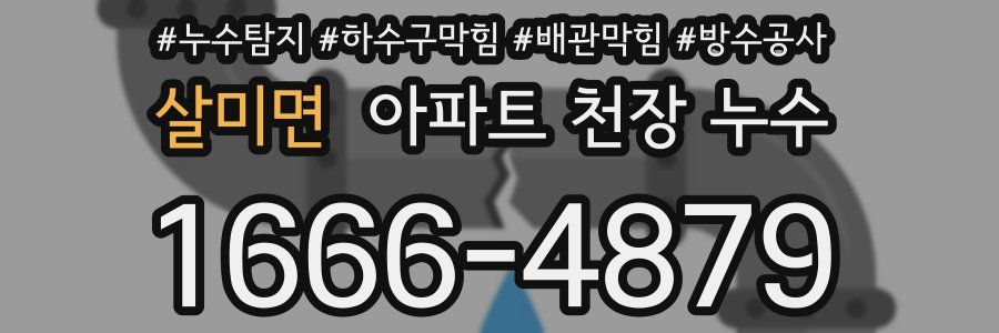 살미면 아파트 천장 누수