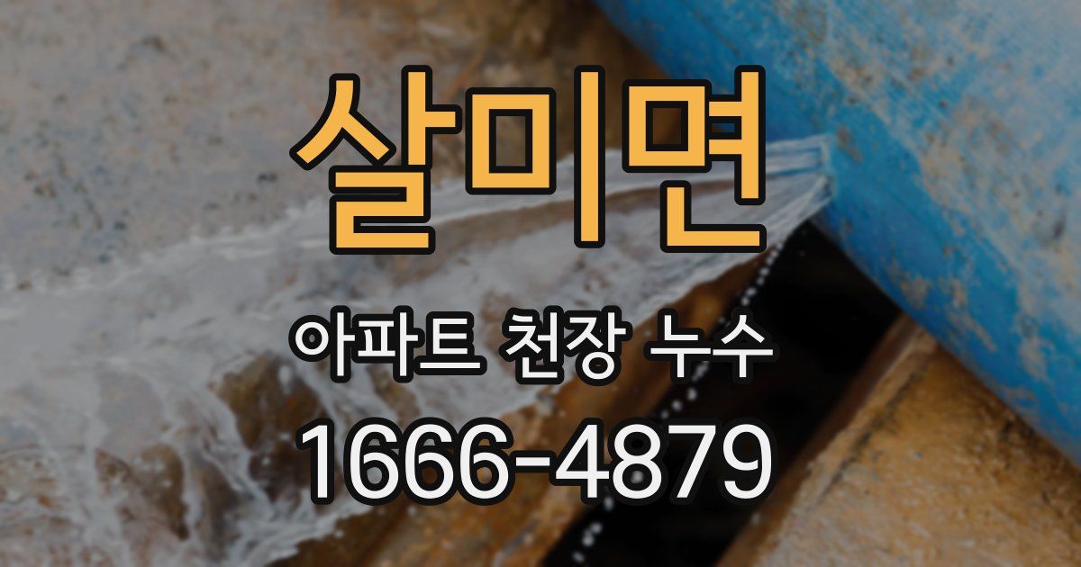살미면 아파트 천장 누수