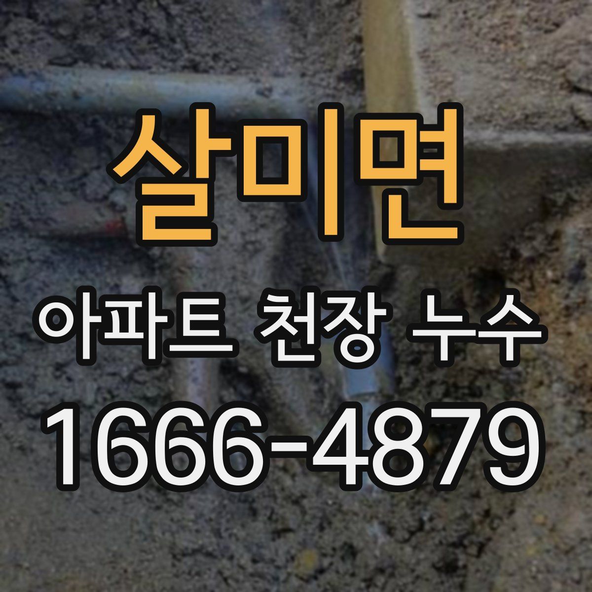 살미면 아파트 천장 누수