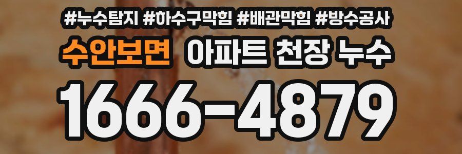 수안보면 아파트 천장 누수
