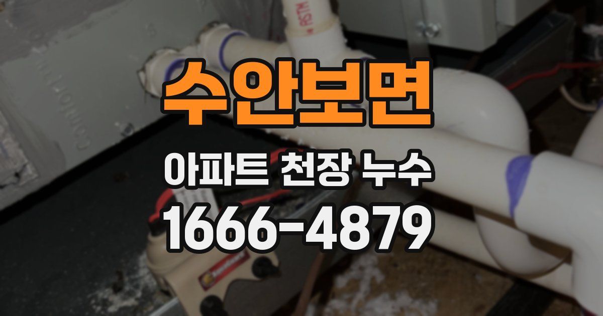 수안보면 아파트 천장 누수