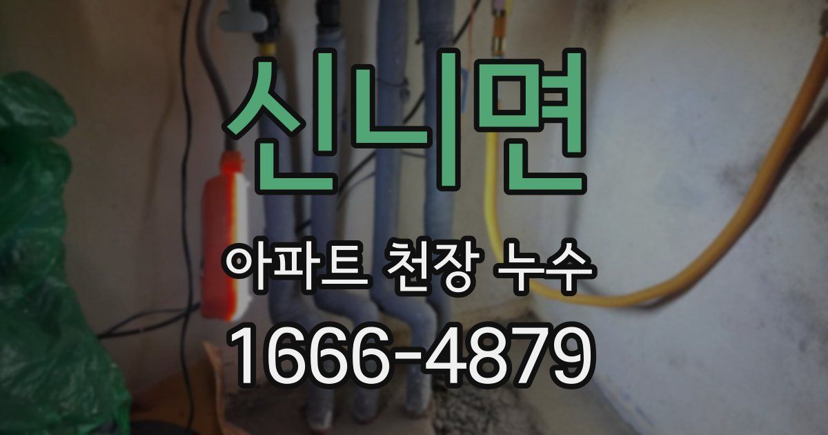 신니면 아파트 천장 누수