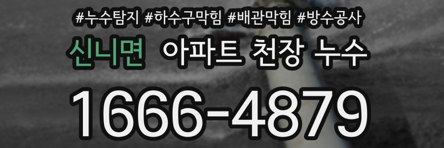 신니면 아파트 천장 누수