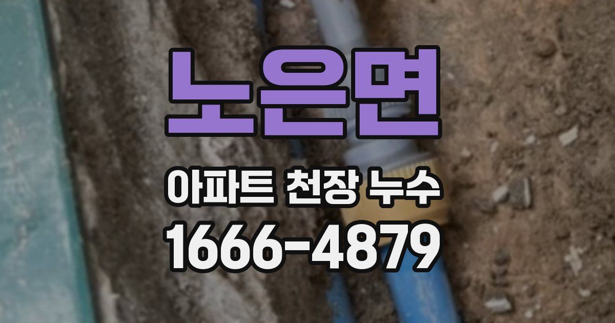 노은면 아파트 천장 누수
