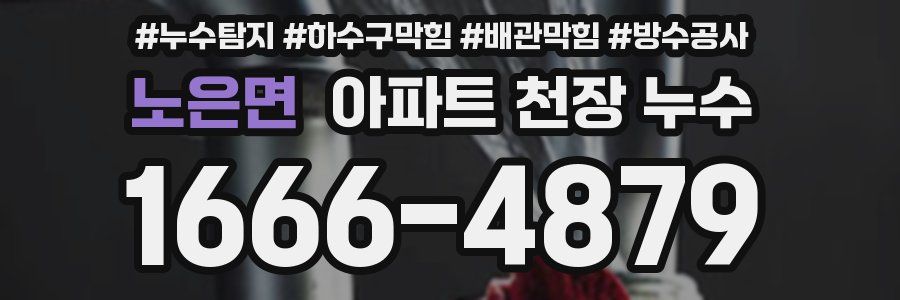 노은면 아파트 천장 누수