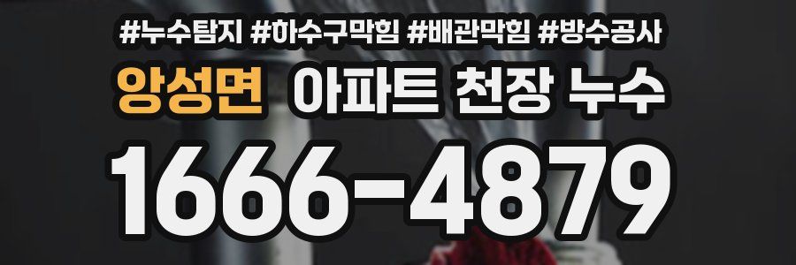 앙성면 아파트 천장 누수