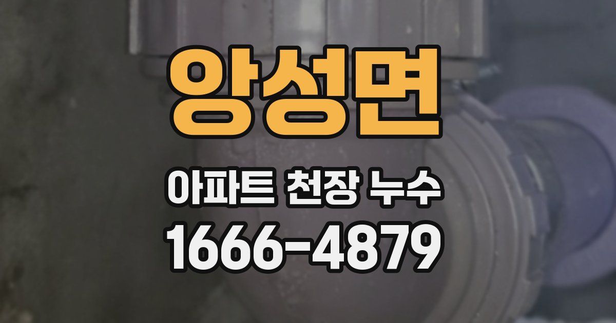 앙성면 아파트 천장 누수