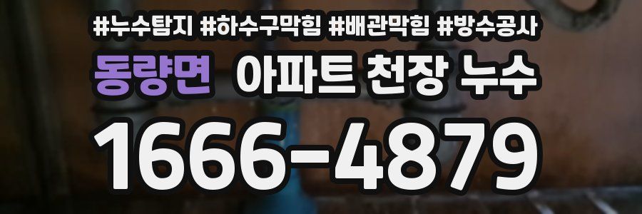 동량면 아파트 천장 누수