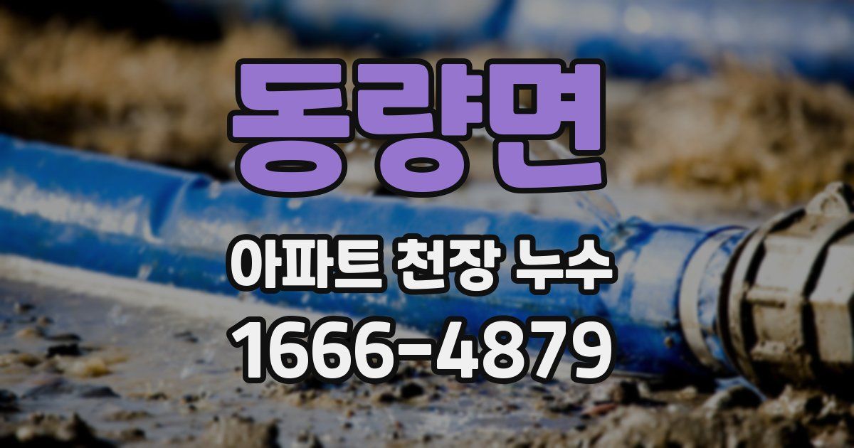 동량면 아파트 천장 누수
